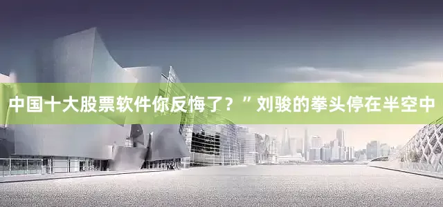 中国十大股票软件你反悔了？”刘骏的拳头停在半空中